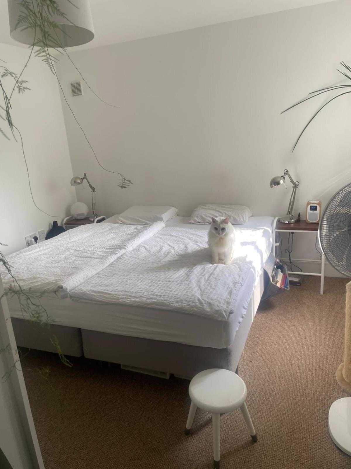 One Bedroom In A Gated Community Appartamento